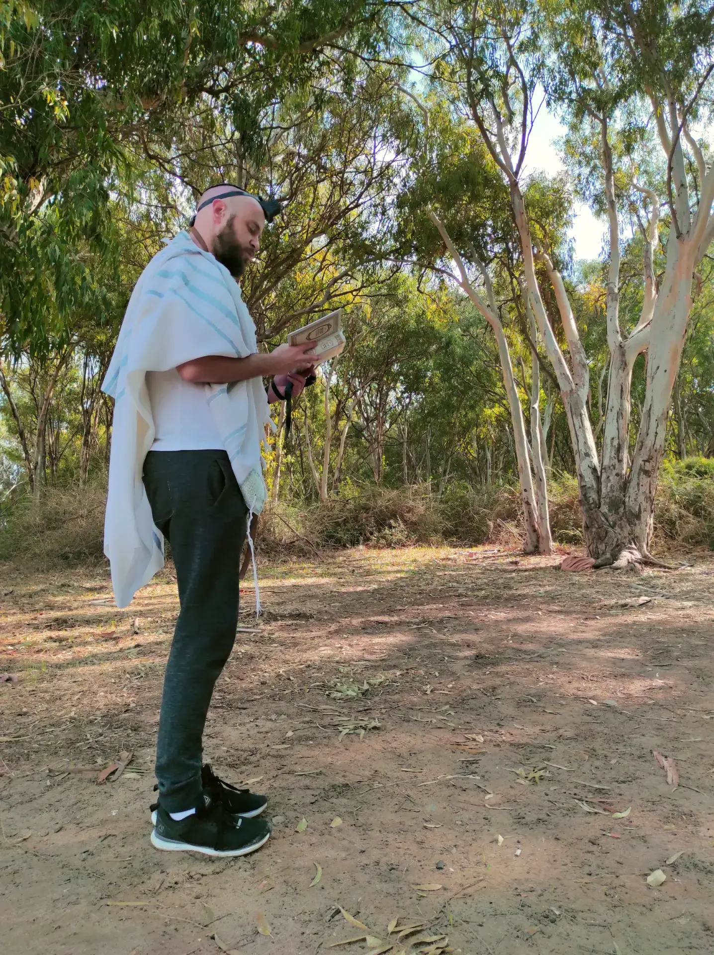 01EPWEVZJVY717DB13PD9P03XH