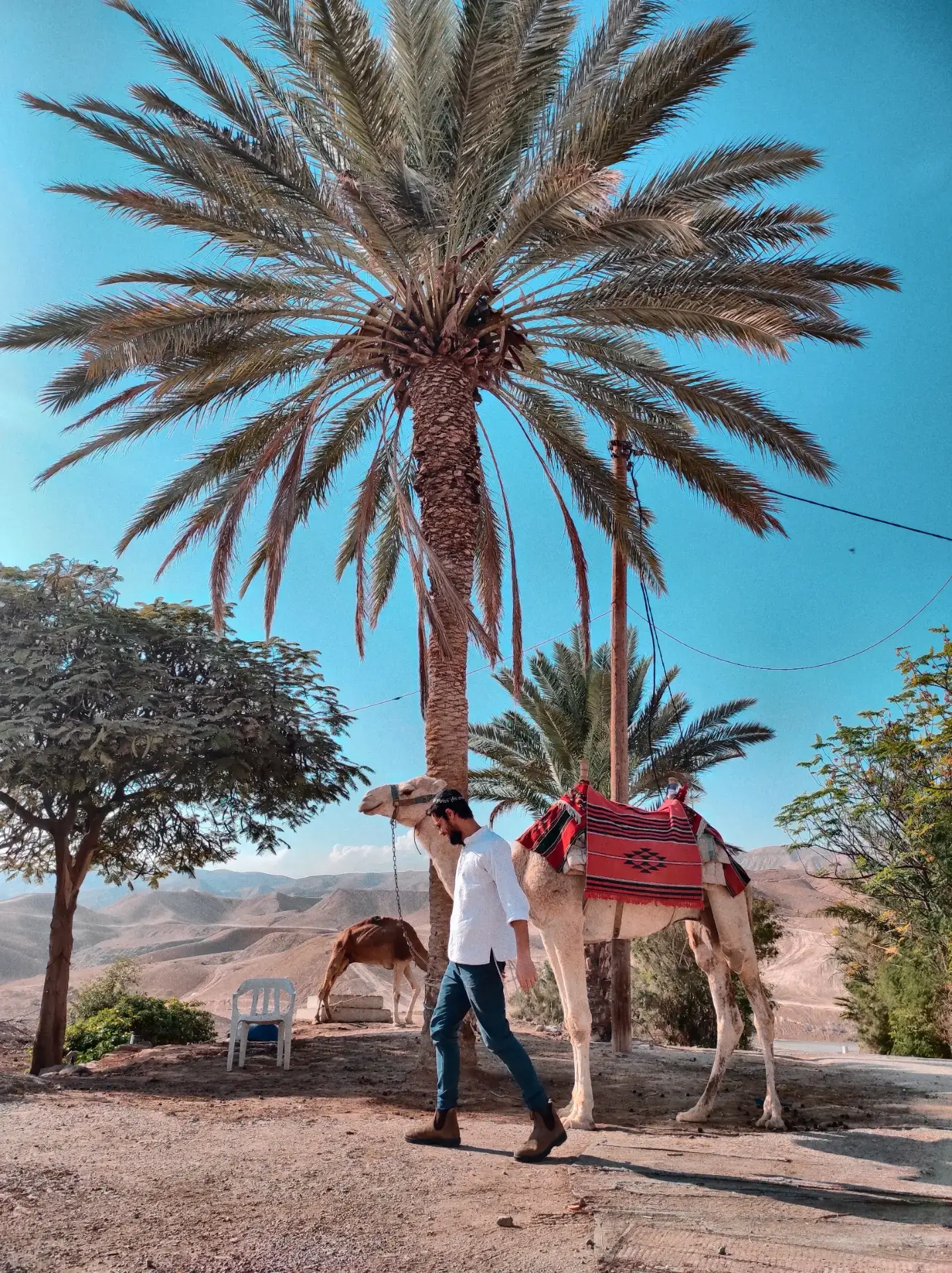 01ERDW21CWXQ9WQCQS8ZBV2NRM