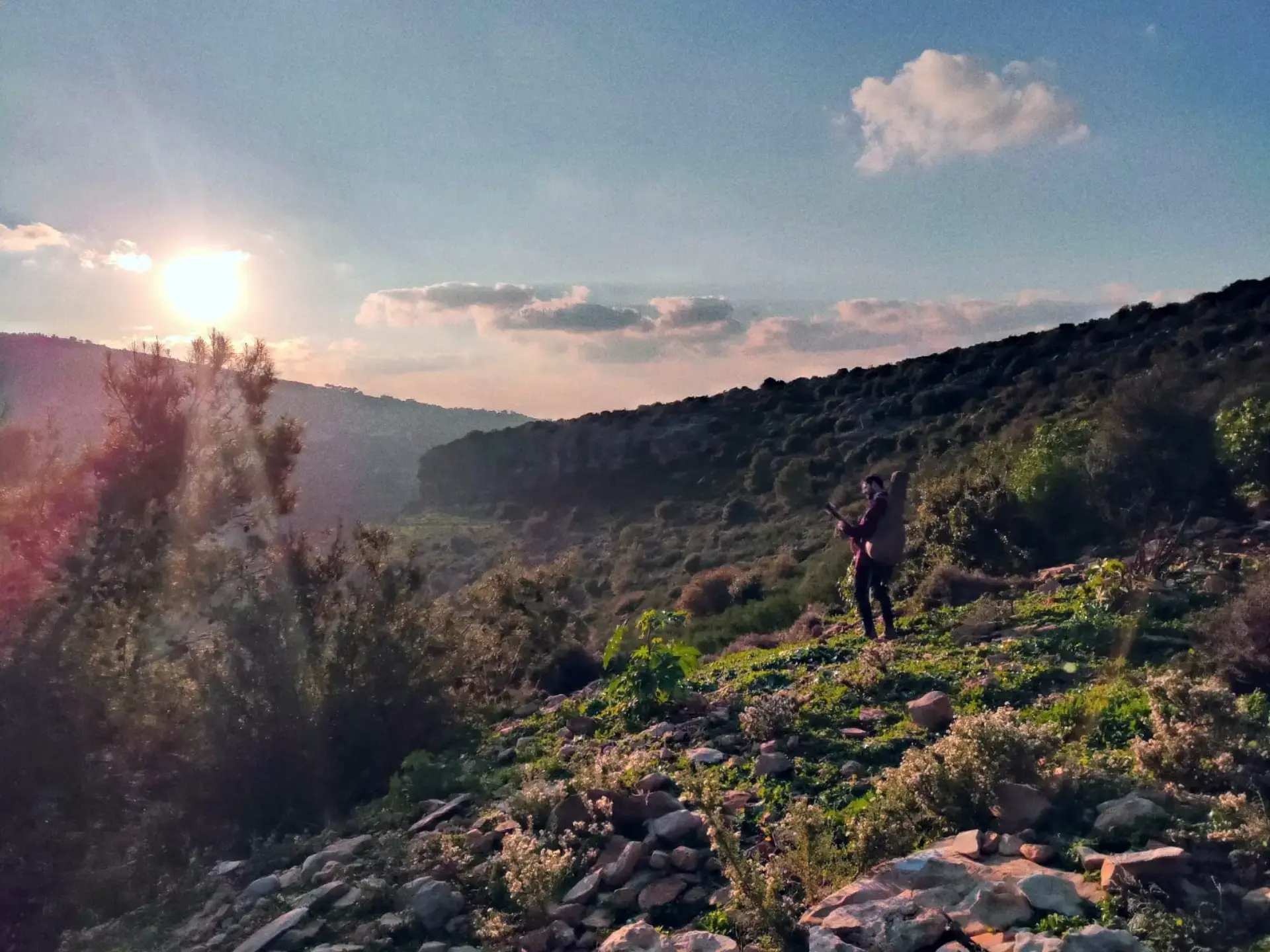 01ETRAQ3FRW7QZWXXZB5T85BV5